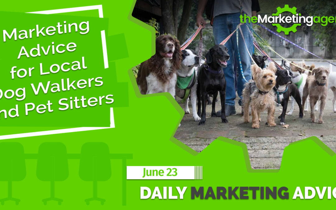 Marketing Advice for Local Dog Walkers and Pet Sitters