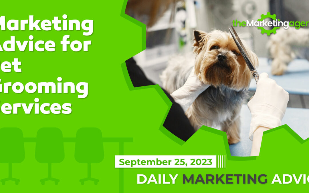 Marketing Advice for Pet Grooming Services