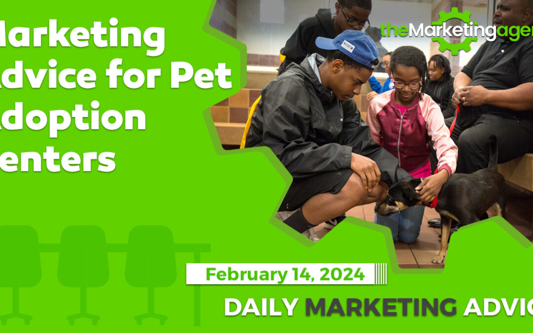 Marketing Advice for Pet Adoption Centers